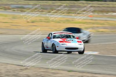 media/May-24-2025-Turn8 Trackdays (Sat) [[034586b55d]]/1 Advanced 2/Session 2 (Cotton Corners-Grapevine)/